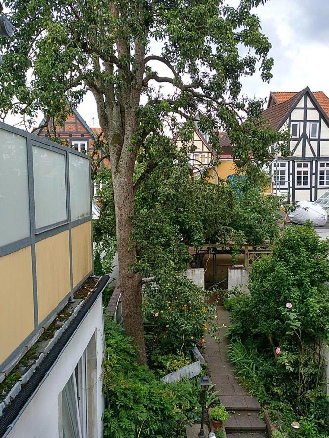 Wachholz, * Celle
