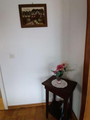 Wachholz, * Celle